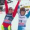 johnsonshiffrin110225